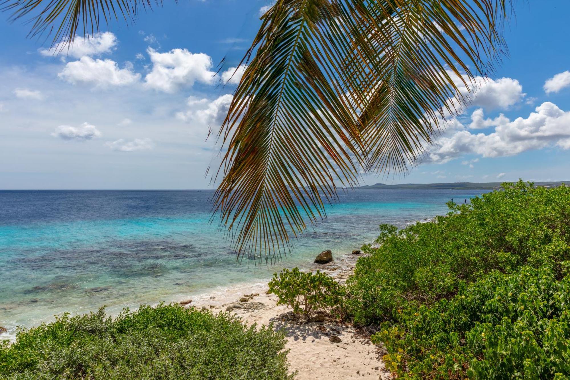 One Ocean Boutique Apartments & Suites Bonaire Kralendijk Eksteriør billede
